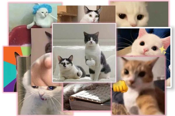 Cat Meme Generator