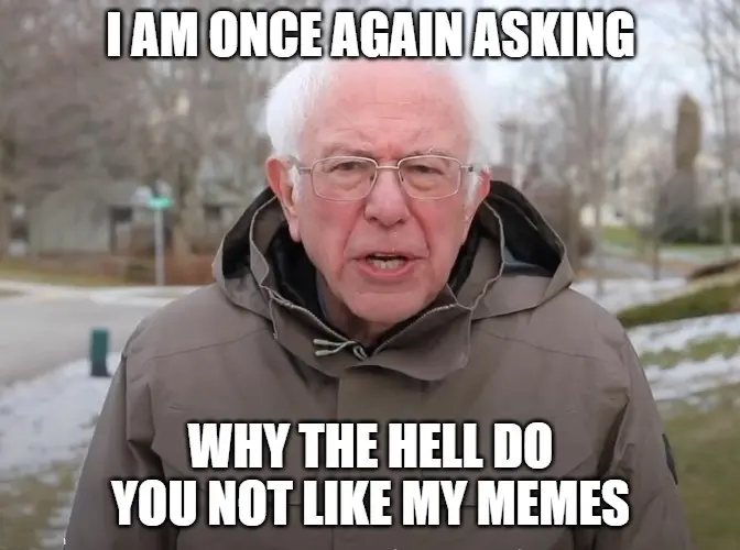 Bernie sander meme meme