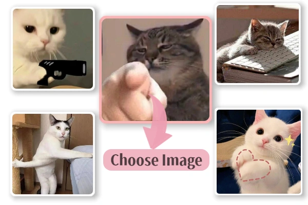 Choose image