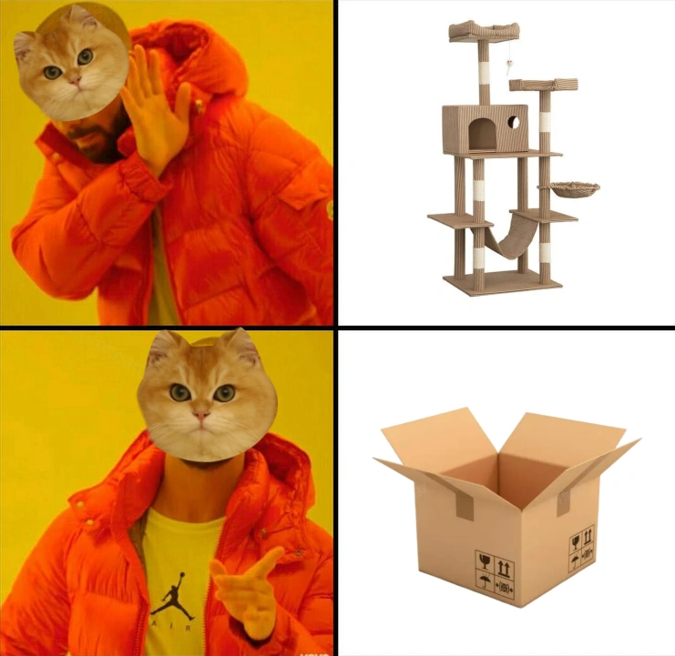 Drake cat meme
