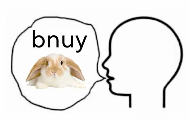 bunny speech bubble meme
