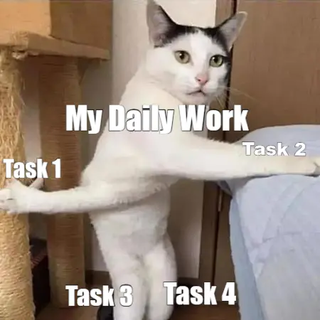 cat meme my daily work