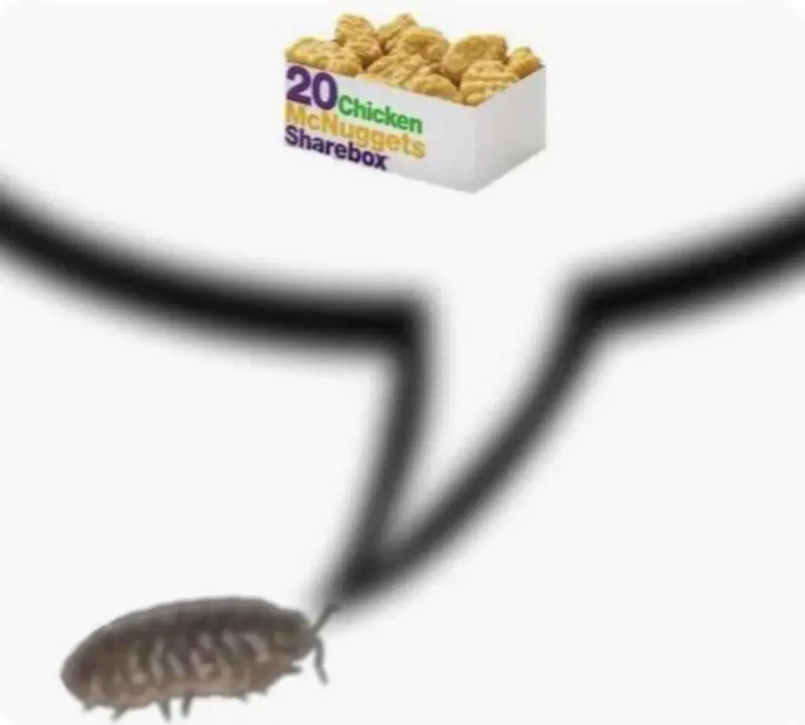 cockroach speech bubble meme