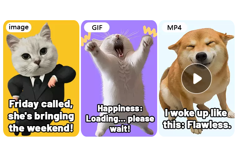 make meme in different formats