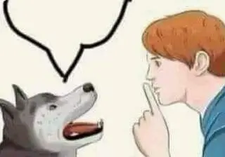 people huskies speech bubble meme
