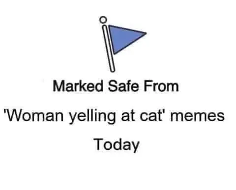 marked safe from woman yelling at cat memes today