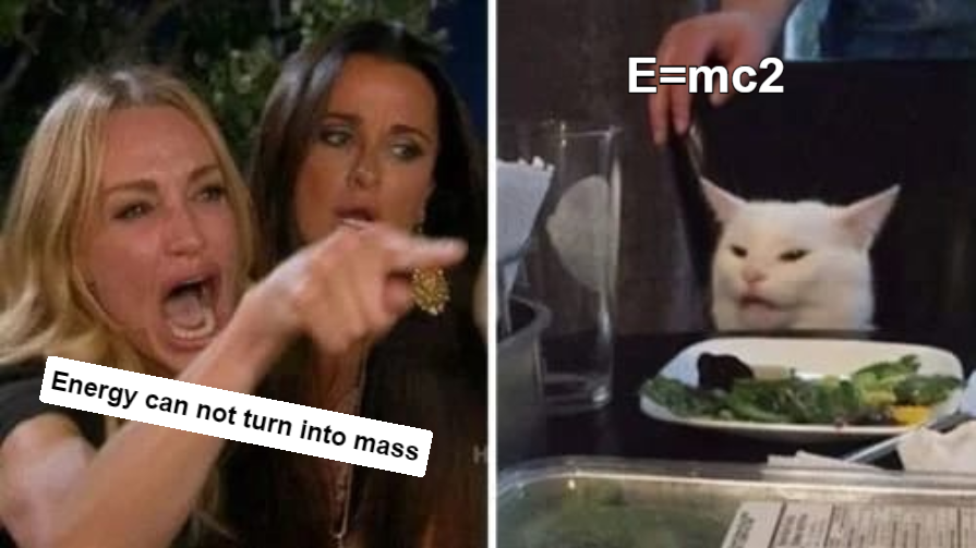 woman yelling at cat meme generator meme em