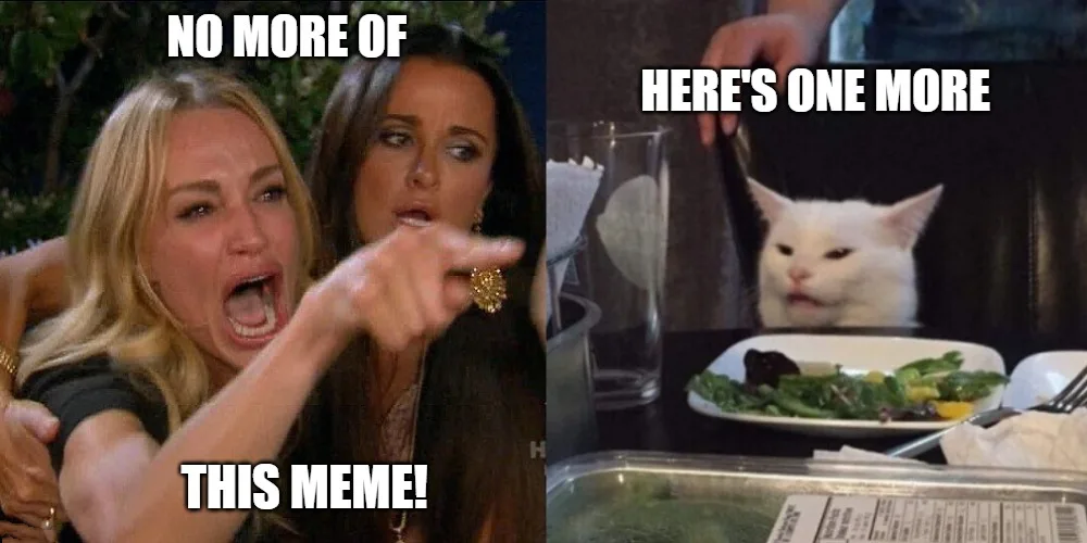 woman yelling at cat meme generator meme one more