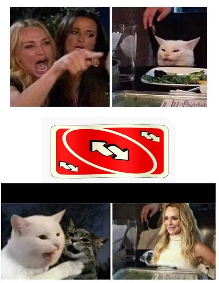 woman yelling at cat meme generator meme reverse