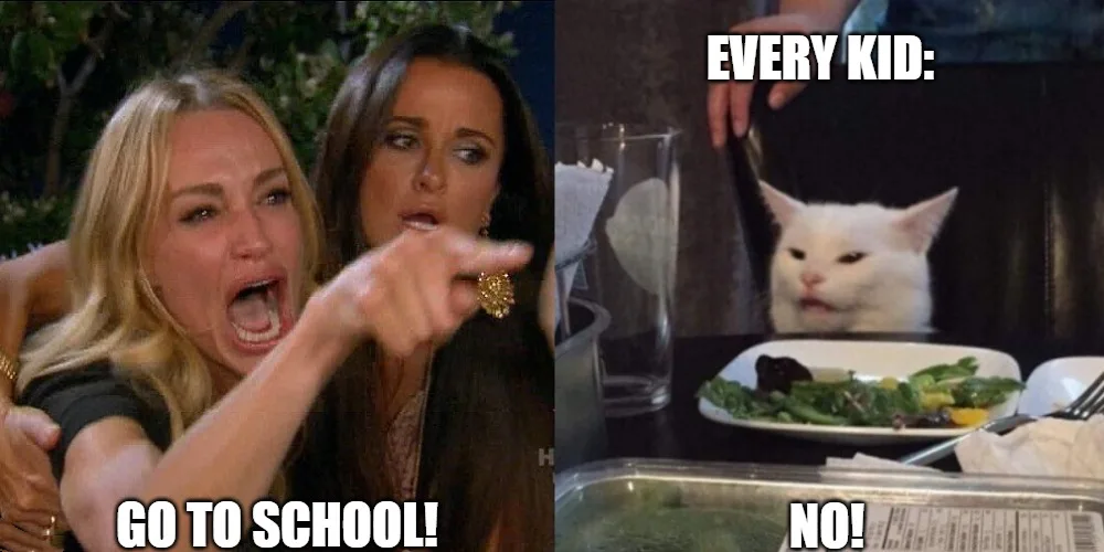 woman yelling at cat meme generator meme school