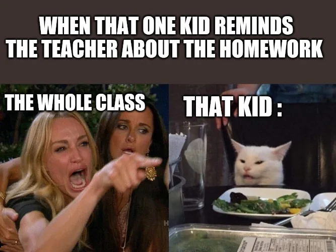 woman yelling at cat meme generator meme student